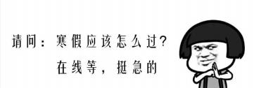 深圳市携创高级技工学校——听说，可以查期末成绩了？
